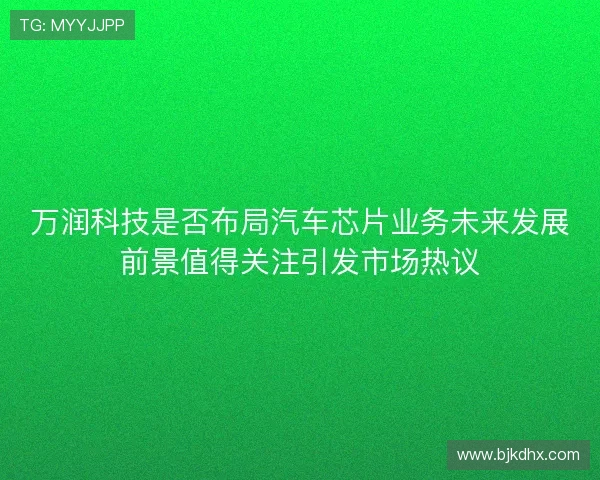万润科技是否布局汽车芯片业务未来发展前景值得关注引发市场热议